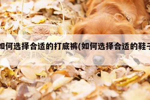 如何选择合适的打底裤(如何选择合适的鞋子)