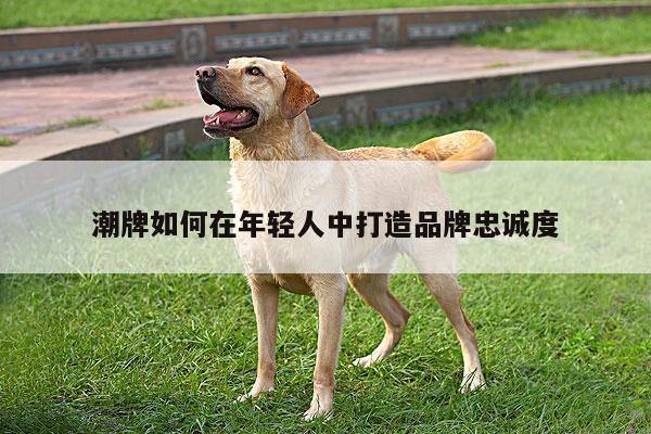 潮牌如何在年轻人中打造品牌忠诚度