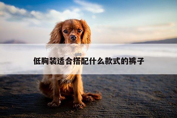 低胸装适合搭配什么款式的裤子