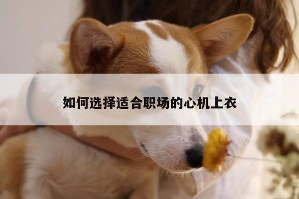 如何选择适合职场的心机上衣