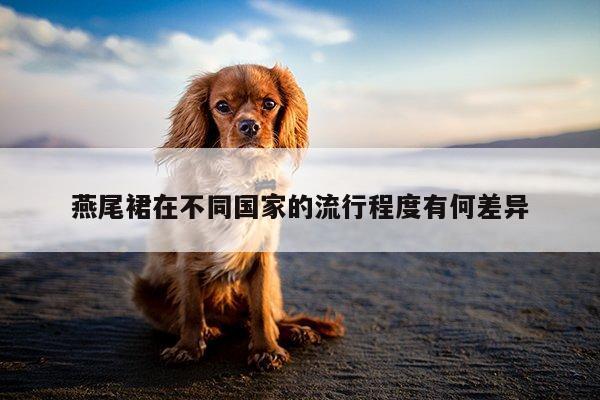 燕尾裙在不同国家的流行程度有何差异