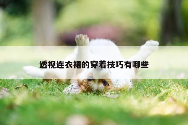 透视连衣裙的穿着技巧有哪些